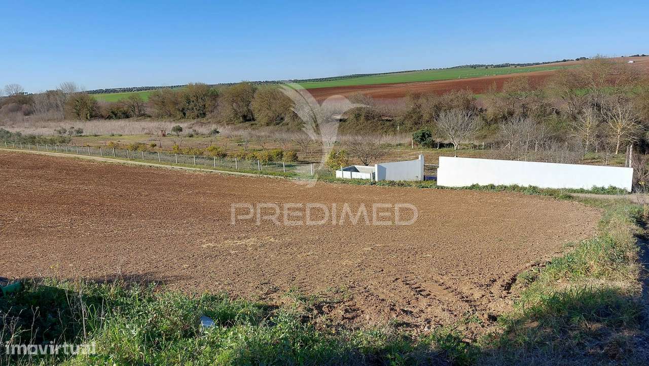 Terreno Agrícola - São Brissos , Beja - Grande imagem: 2/16