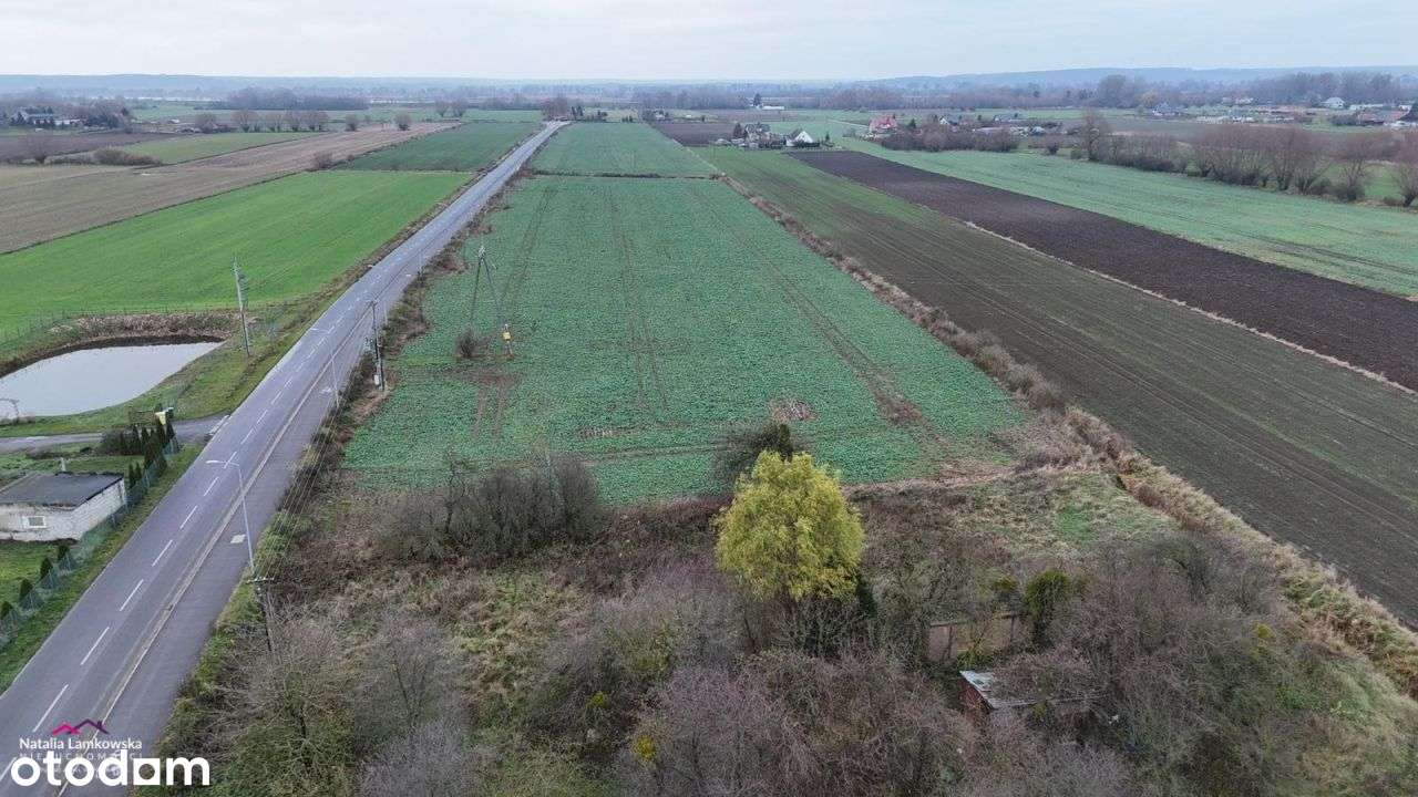 Szynych*działka rolna z możliwością podziału - Pełny obrazek: 2/5