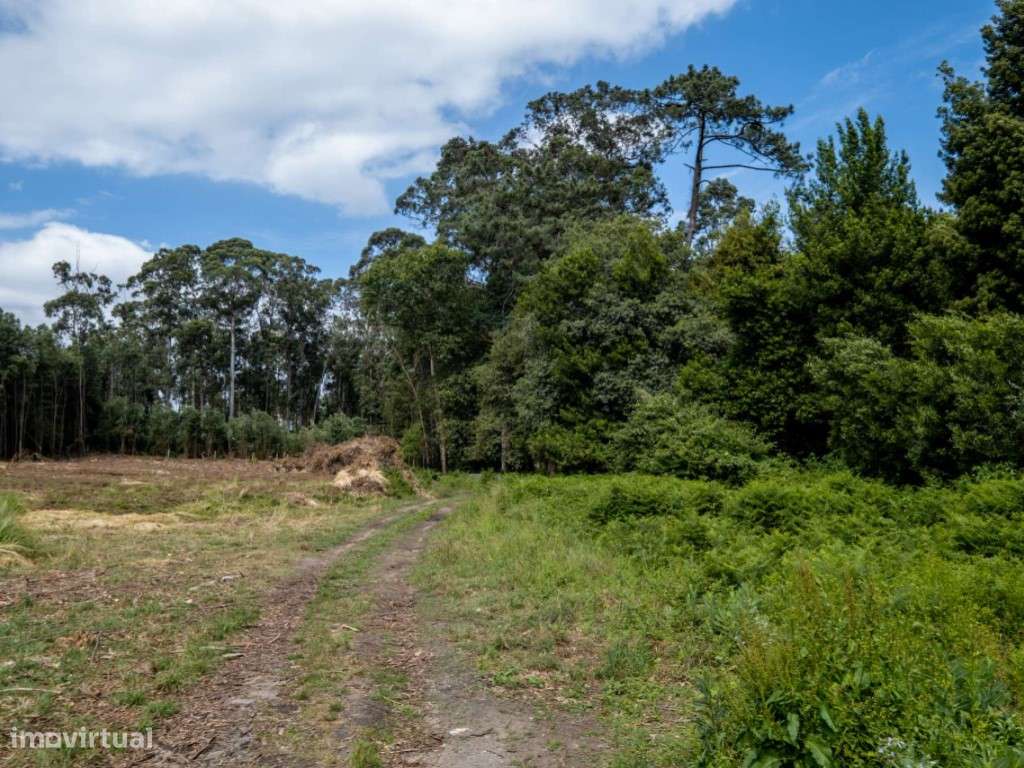 Terreno de 4 lotes para construção 28 moradias em V N Gaia - Grande imagem: 5/31