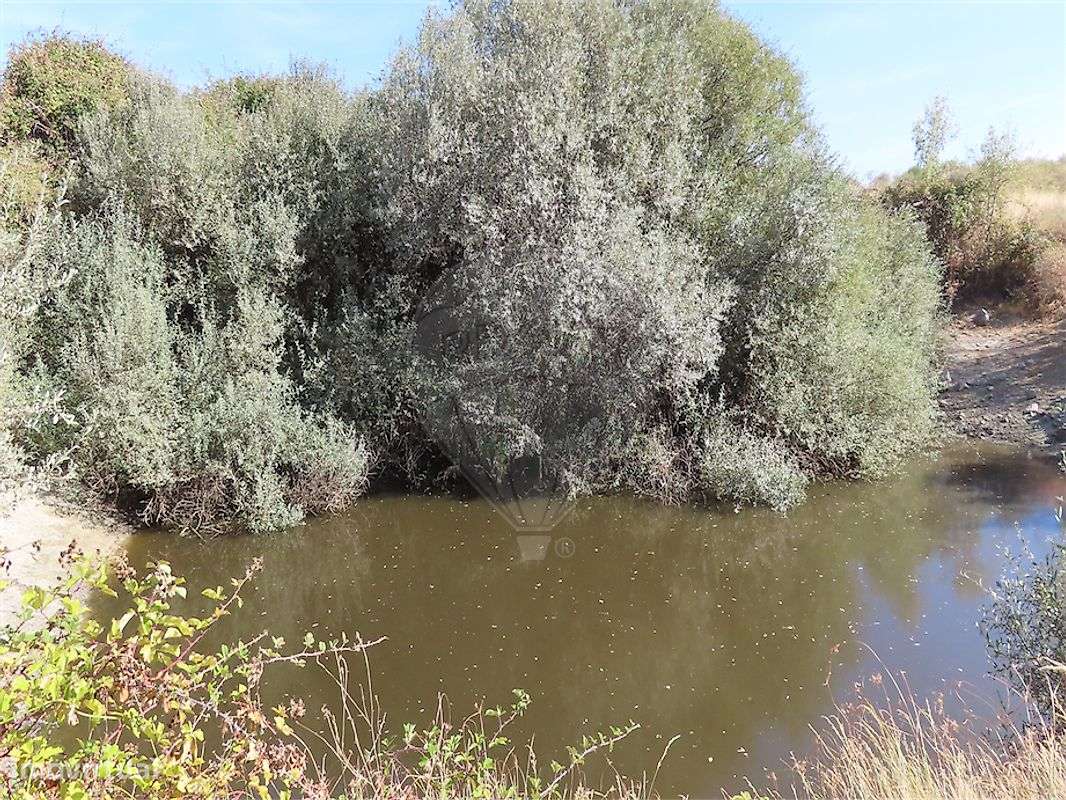 Quinta  para venda-16