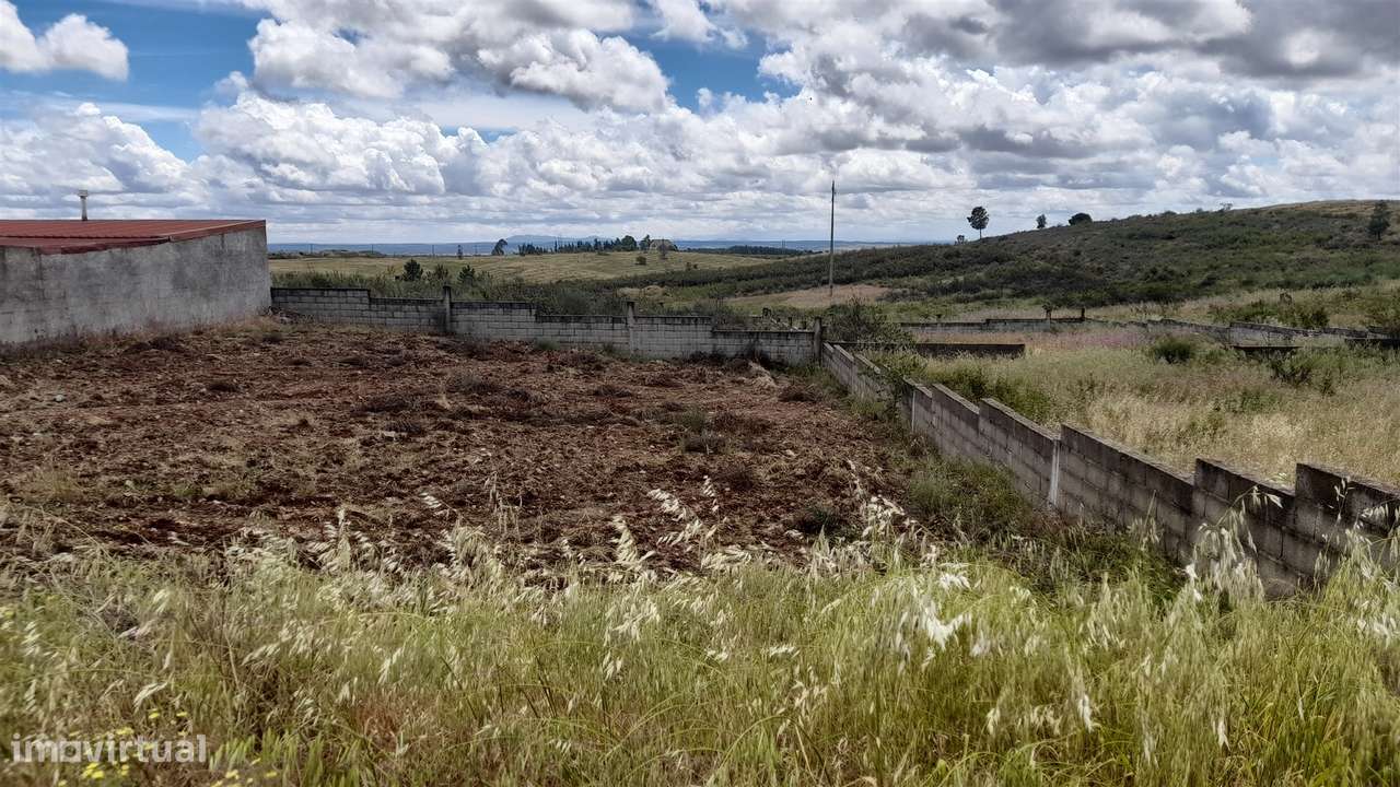 Terreno Para Construção  Venda em Castelo Branco,Castelo Branco-5