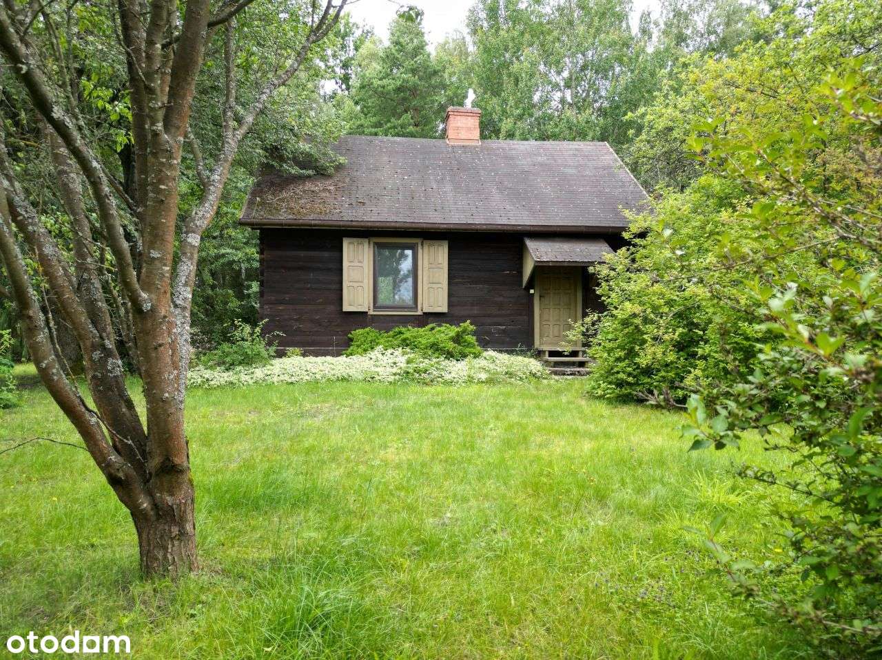 Rezydencja w spokojnej okolicy gmina Brok, 1.7 ha.-16