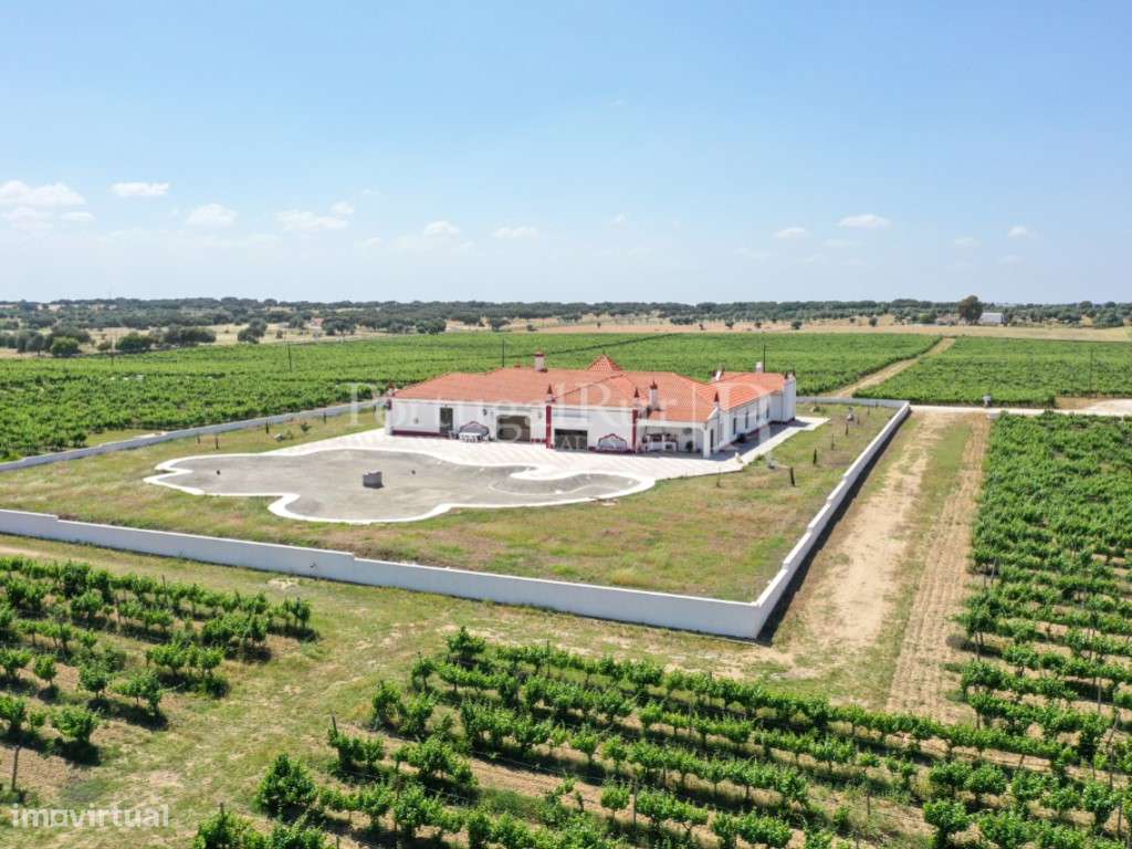 Herdade de vinha com 36 ha e agro-turismo no Alentejo - Grande imagem: 2/56