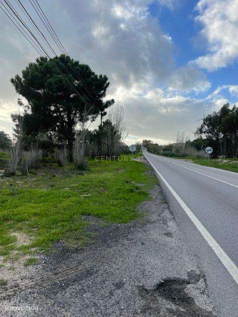 Terreno de 8520 m2 sito na Baixa da Atalaia - Alcochete - Grande imagem: 5/6
