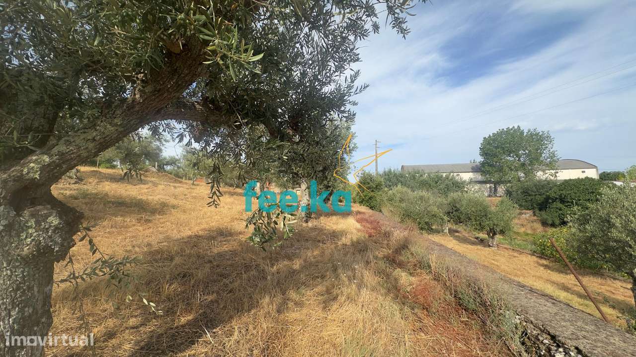 Quintinha-6