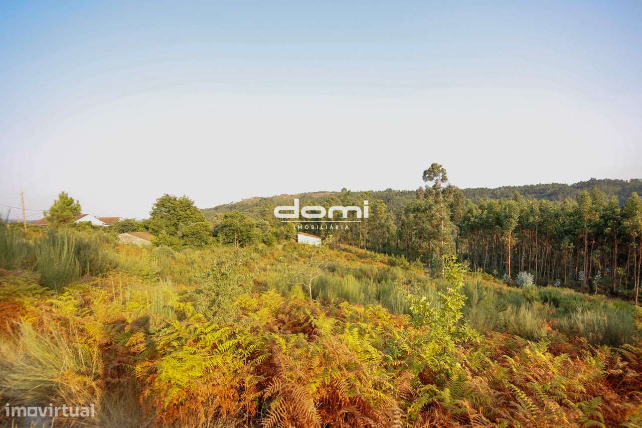 Terreno em Pinhosão, Pinho – São Pedro do Sul - Grande imagem: 4/9