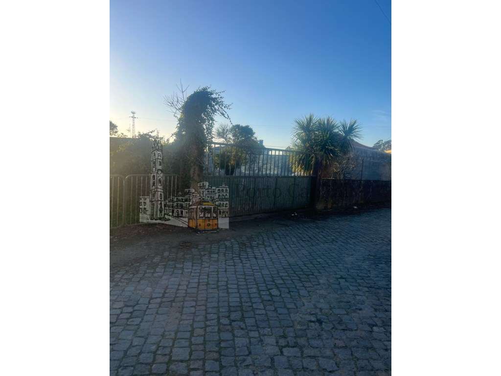 EXCELENTE TERRENO COM VIABILIDADE DE CONSTRUÇÃO - Grande imagem: 4/20