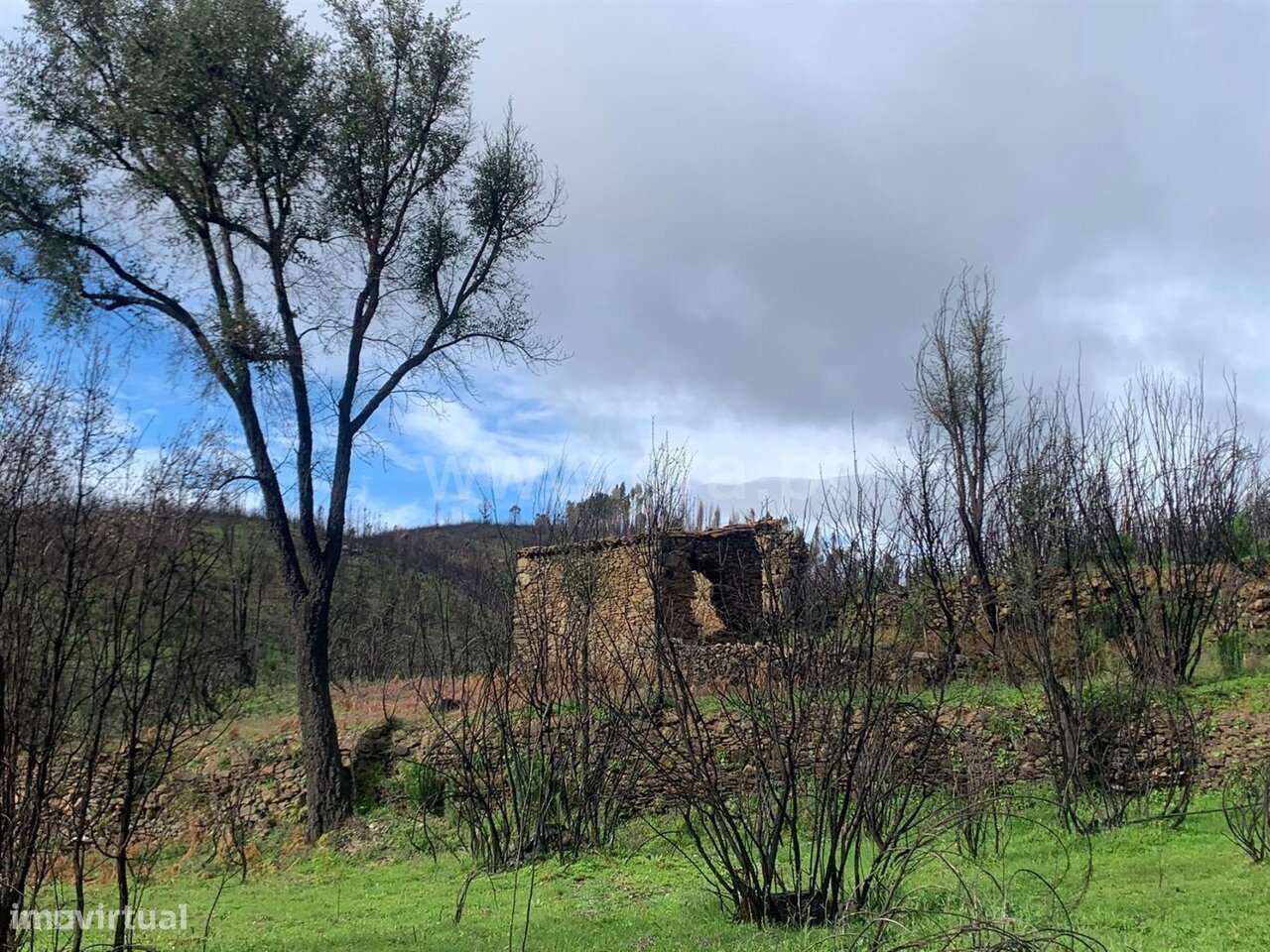 Terreno com ruina Estúdio / Fundão, Lavacolhos - Grande imagem: 4/13