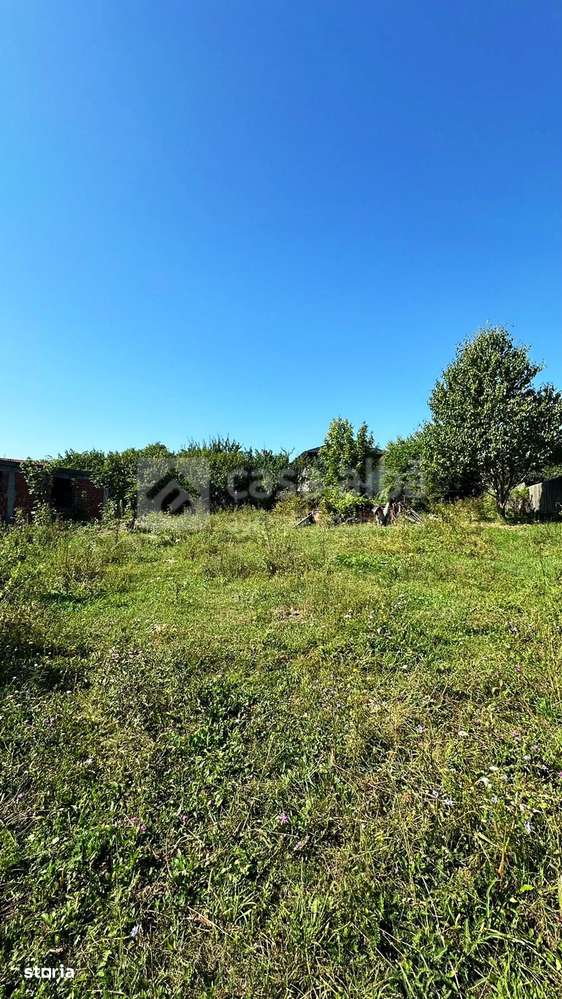 Bucium - Paun, teren intravilan, 1000mp - Imagine principală: 3/5