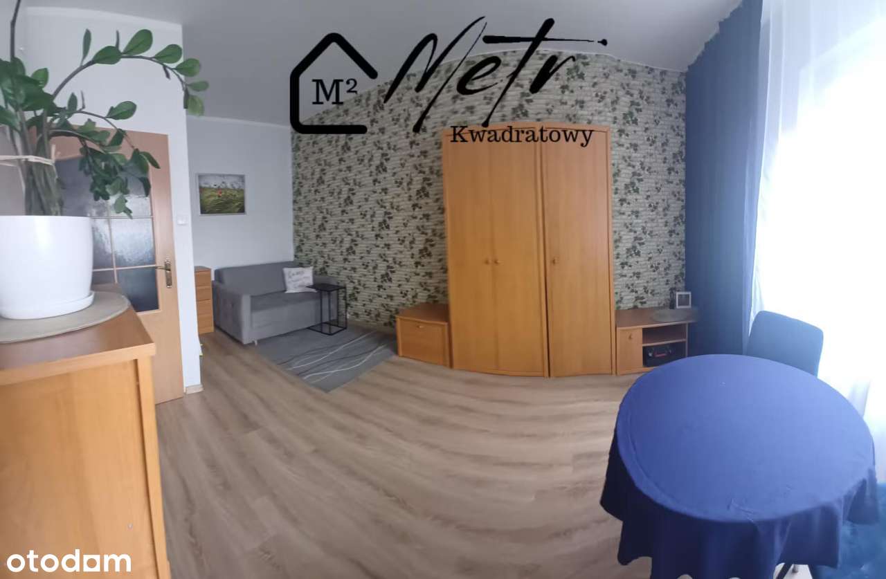 Kawalerka szuka kawalera - Pełny obrazek: 1/7