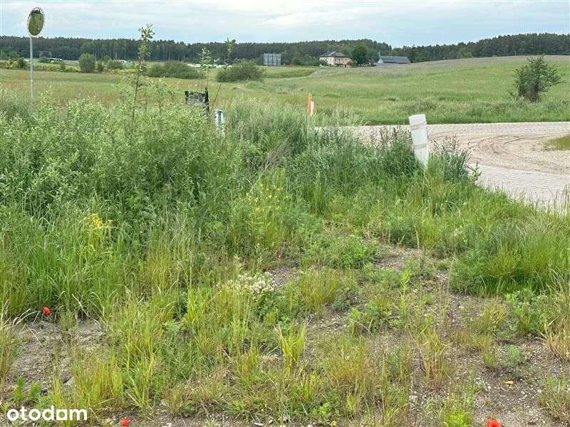 Działka - Dobrzewino - Pełny obrazek: 4/8