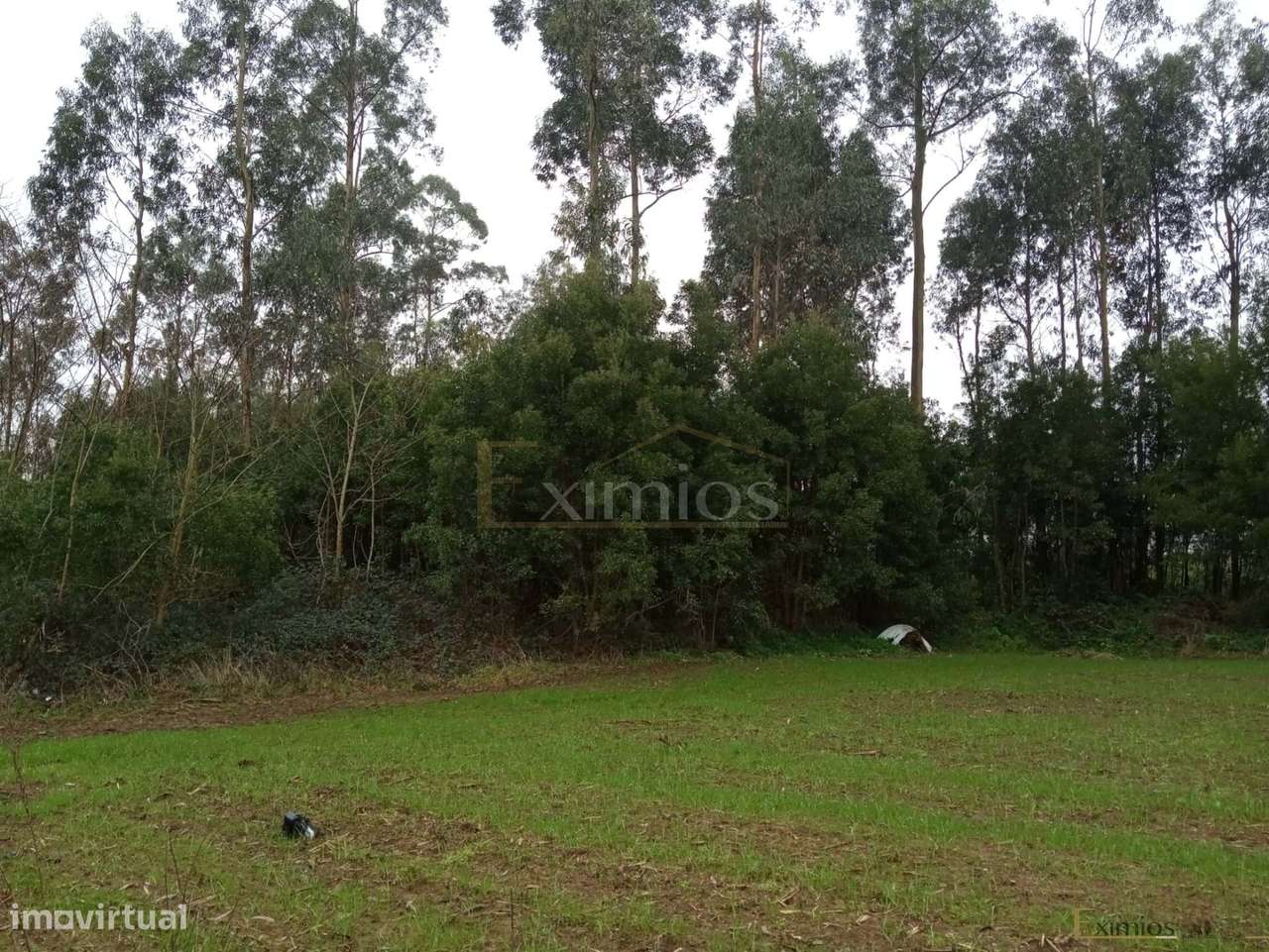 Terreno em Aveleda - Grande imagem: 2/4