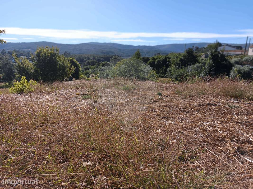 Terreno  para venda - Grande imagem: 5/14