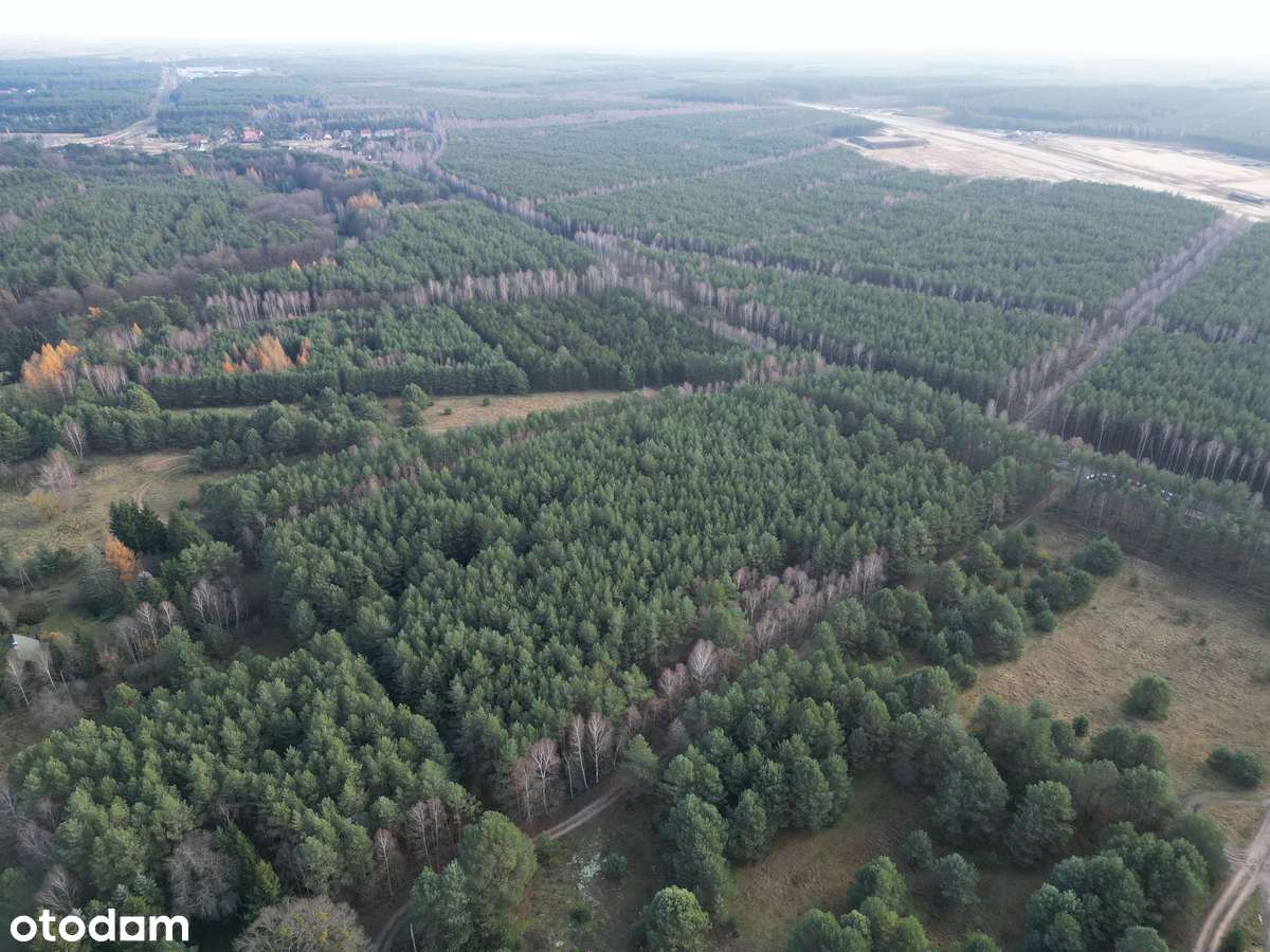 Działka na sprzedaż – Małe Jarki, koło Cierpic, niedaleko Torunia-1