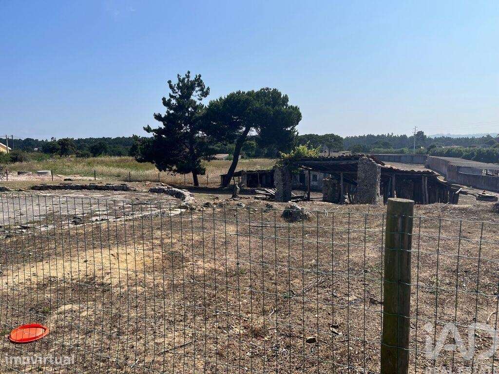 Terreno misto em Caldas da Rainha - Santo Onofre e Serra do Bouro - Grande imagem: 5/6