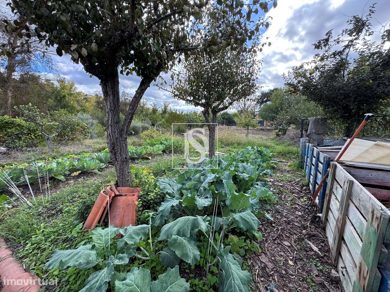 Quintinha em Tramaga-26