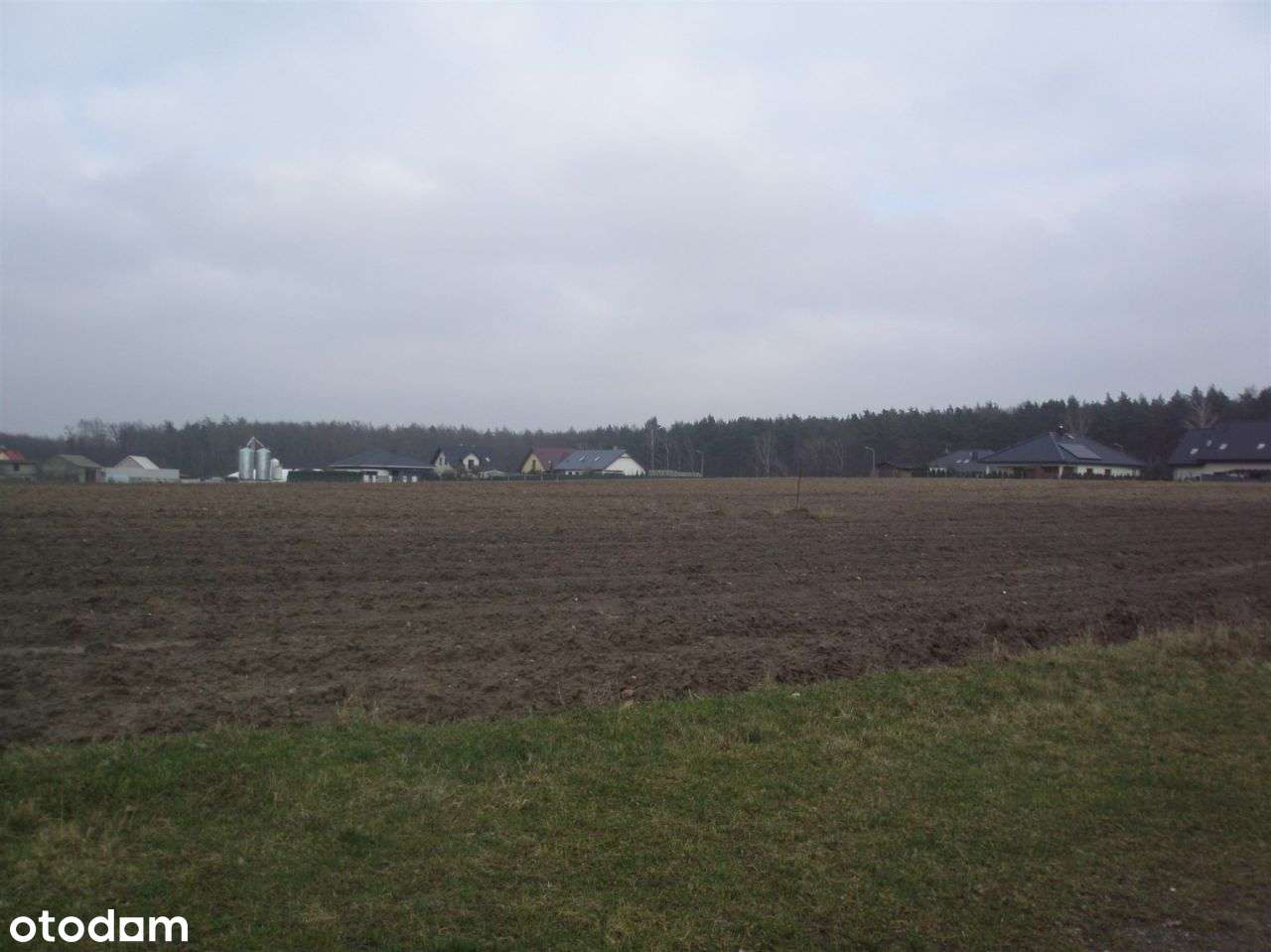Działka Chludowo - Pełny obrazek: 2/9