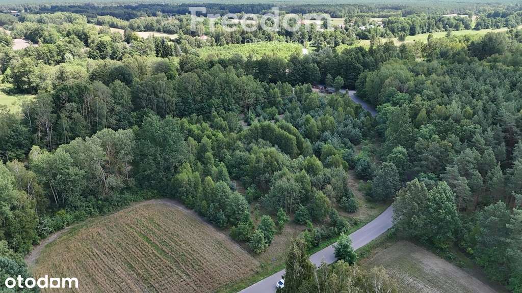 Działka budowlana przy zaciszu lasu - Pełny obrazek: 4/5