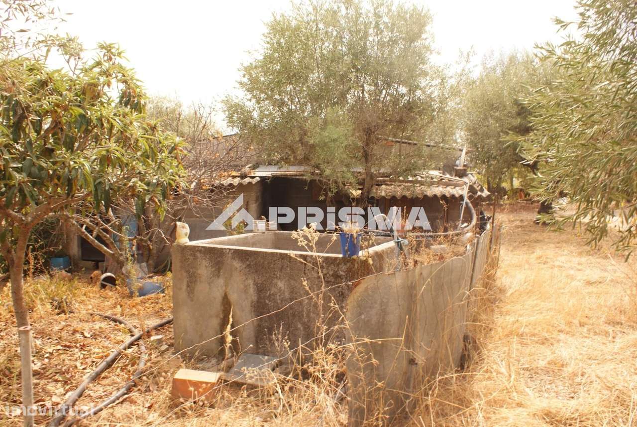 Quinta para Venda em Orca - Fundão-30