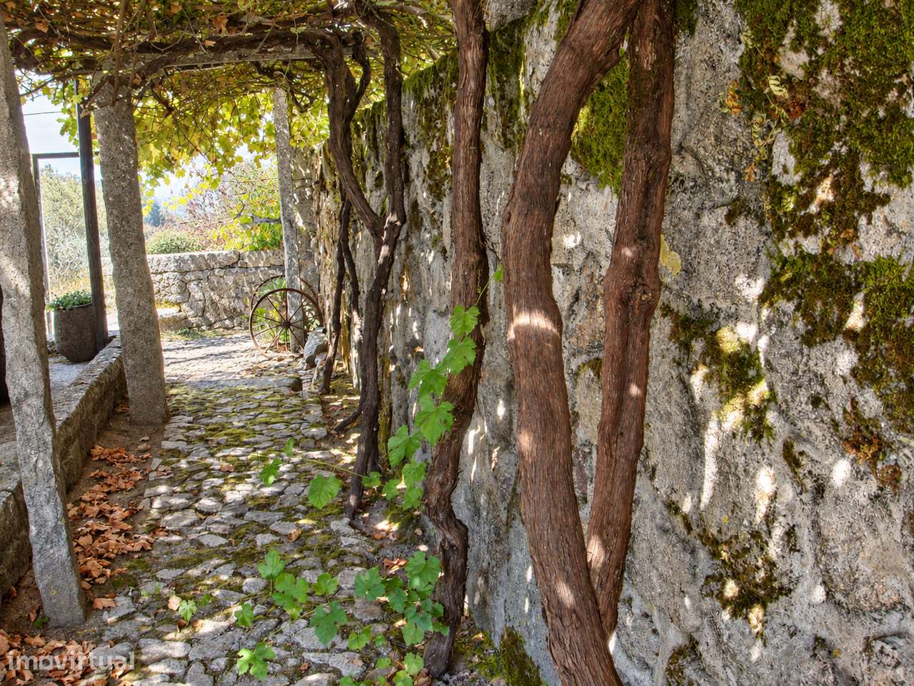 Moradia T3 em Pedra com Piscina, Mazarefes, Viana do Castelo-3