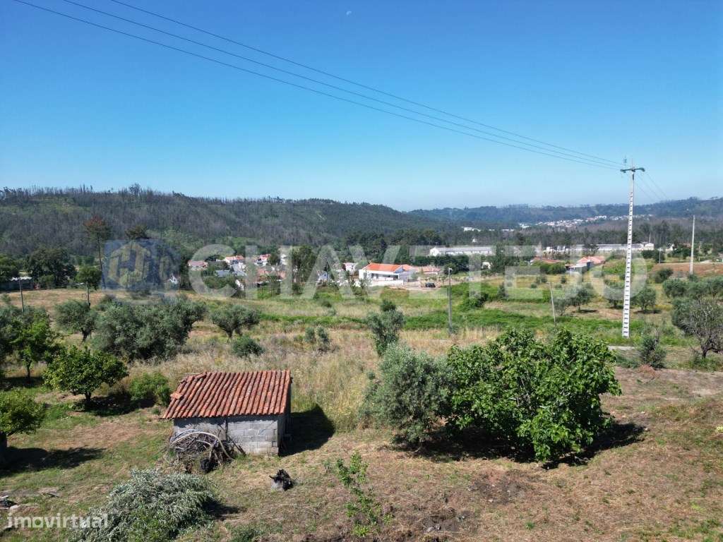 Terreno com 1.2 hectares para venda em Urqueira , Ourem - Grande imagem: 5/8