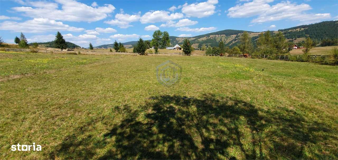 Teren 7000mp Arieseni - Imagine principală: 2/4