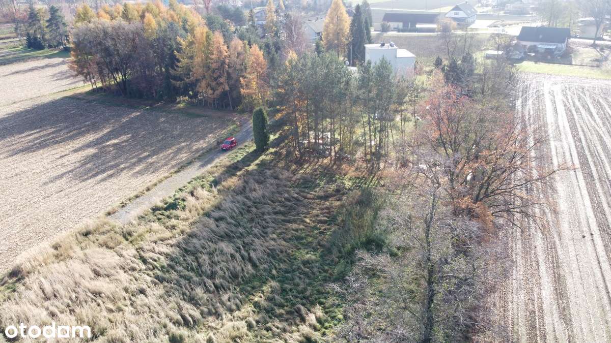 Płaska atrakcyjna działka o pow. 1250 mkw, Zaborze, gm. Chybie-5