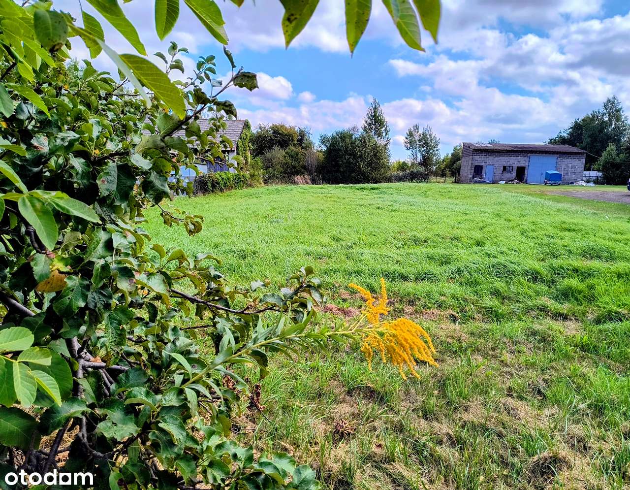 Działka rolno-budowlana 3002m², Jastrząb, gmina Poraj, śląskie - Pełny obrazek: 4/10