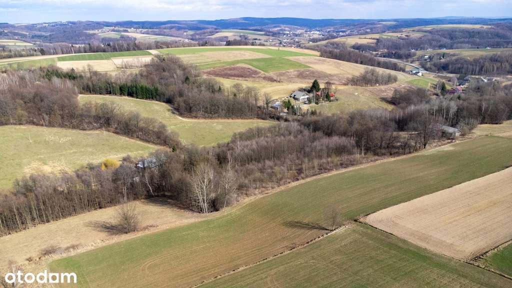 Działka z warunkami zabudowy 5474m2  | Brzeziny - Pełny obrazek: 5/7