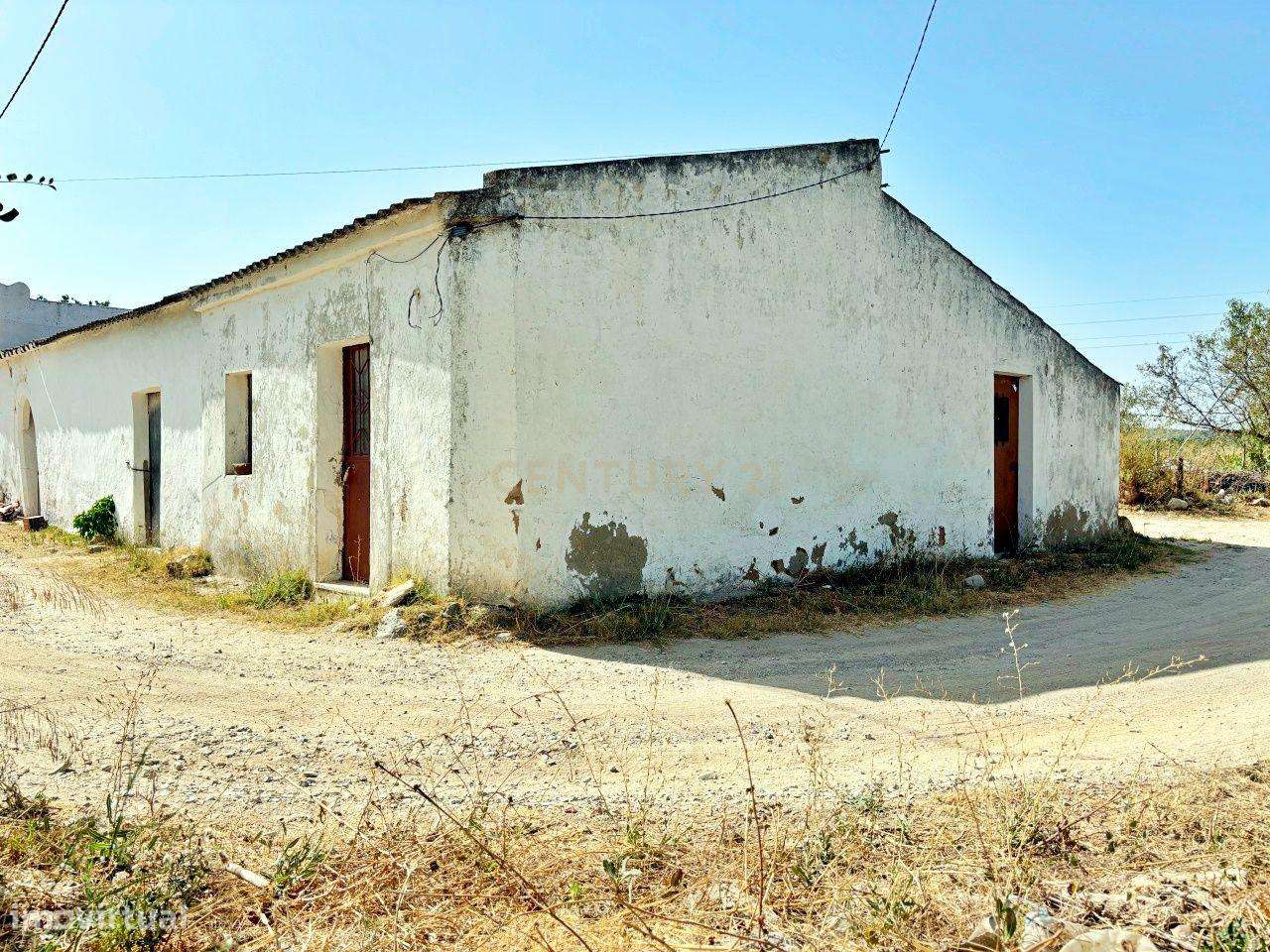 Oportunidade de aquisição conjunta – Dois imóveis no Brejo, Luz de Tav - Grande imagem: 4/29