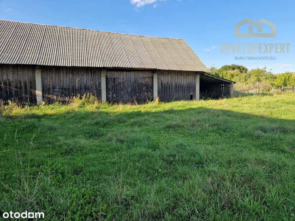 Siedlisko na Podlasiu 30km od Białowieży, 2rodziny-7