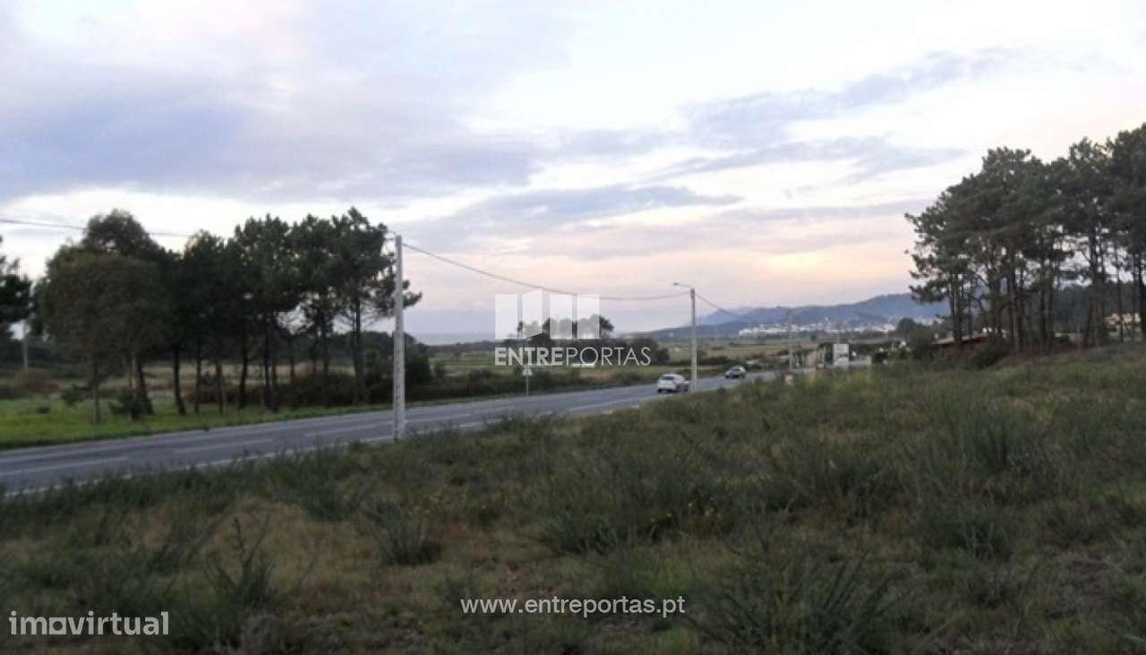 Terreno - Carreço - Grande imagem: 2/4