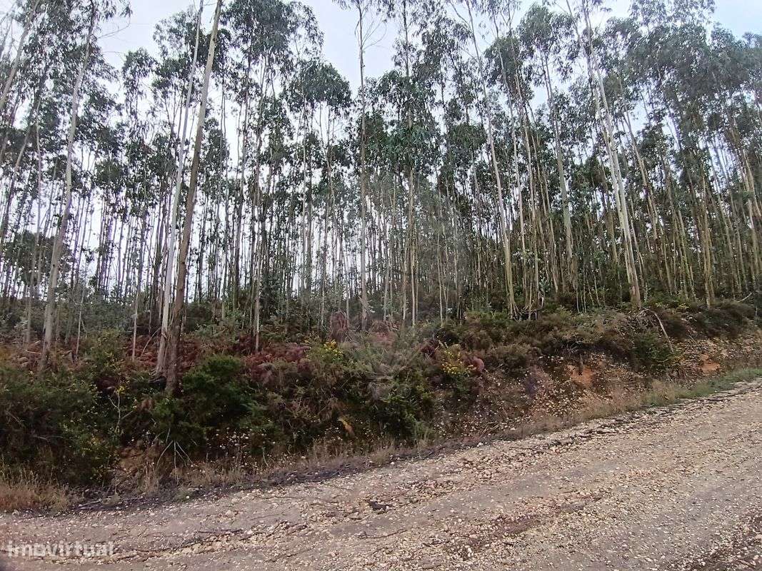 Terreno  para venda - Grande imagem: 2/3