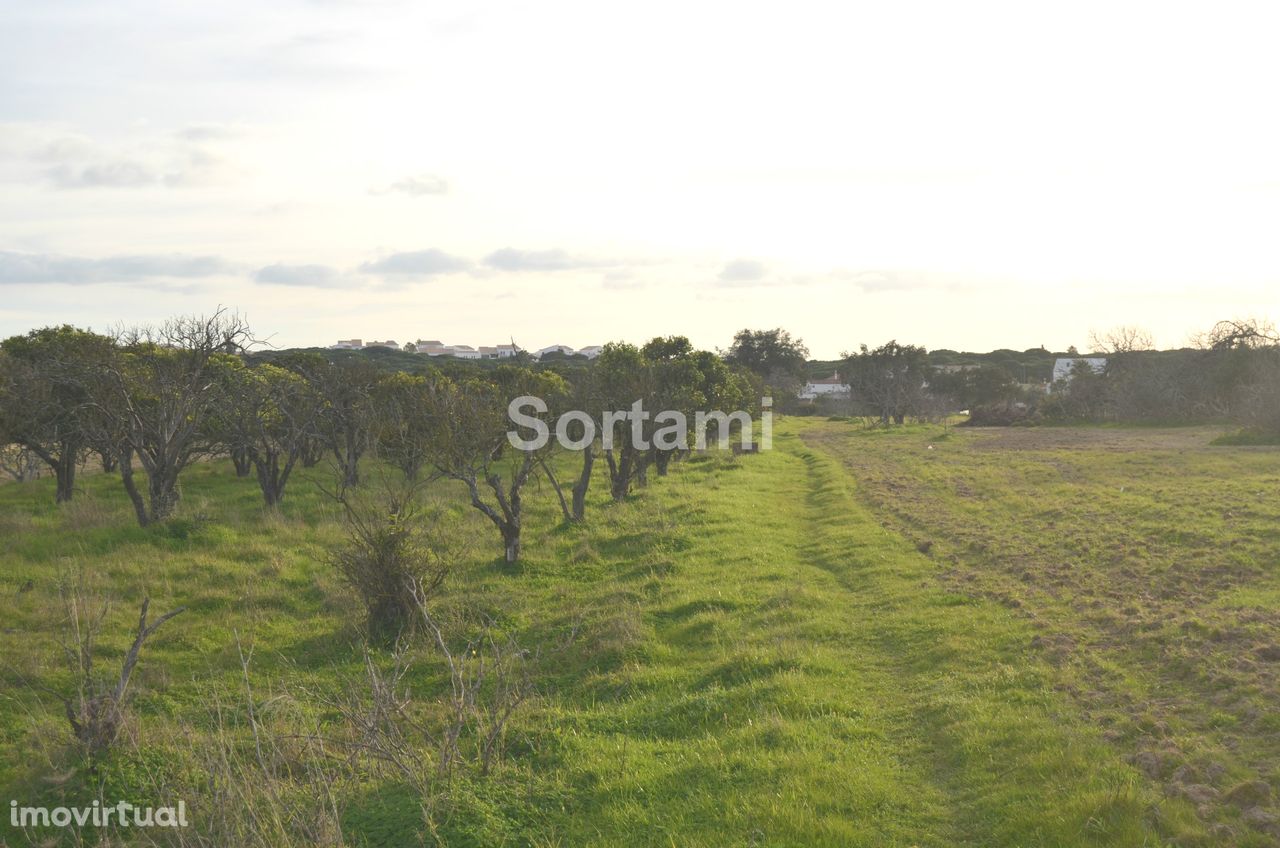 Terreno Rústico  Venda em Albufeira e Olhos de Água,Albufeira