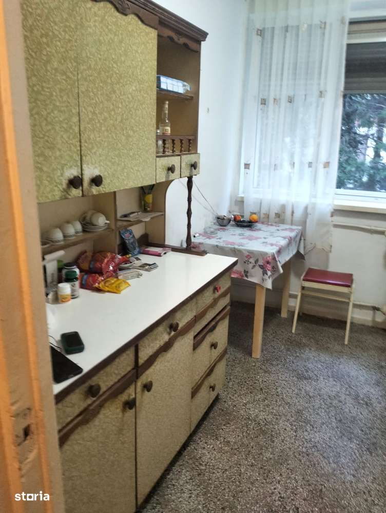 campia libertatii cu baba novac 3 minute de parc ior statuie cuza-6