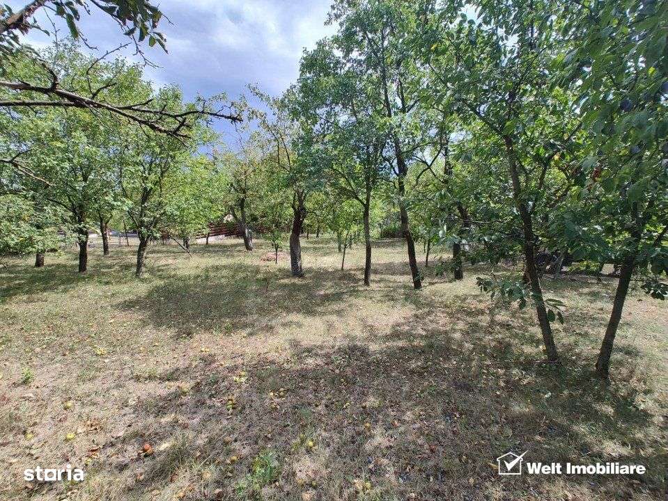 Casa veche, toate utilitatile, Pata, 5808 mp, tot intravilan, front 19 - Imagine principală: 3/12