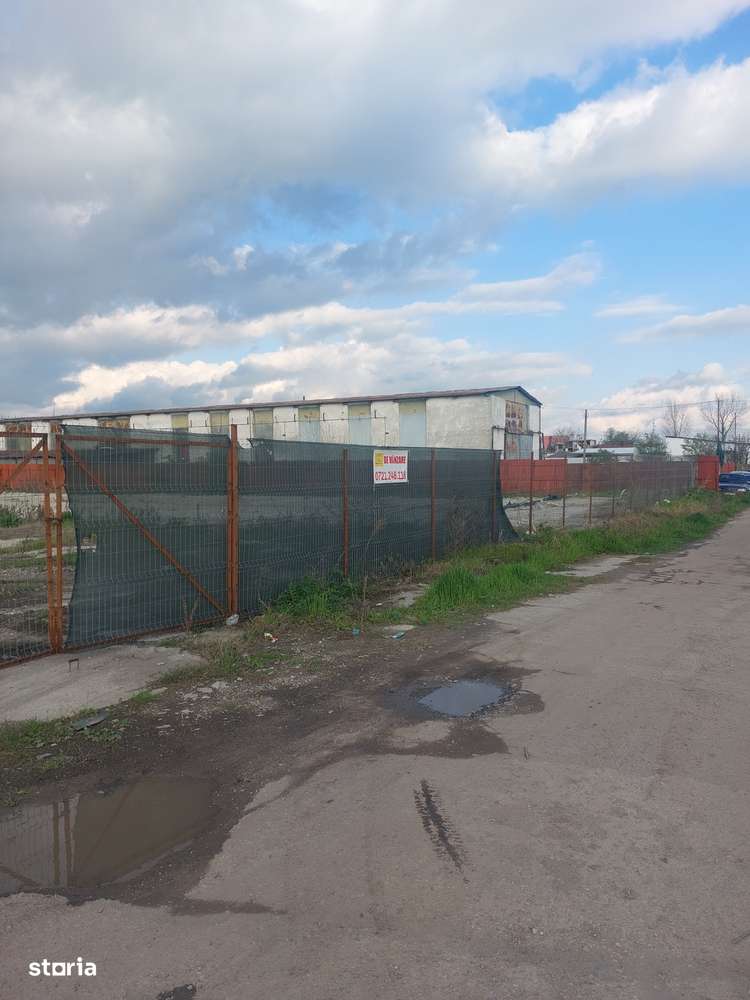 Magurele - Zona Mixta, Ideal Hala - Imagine principală: 5/9