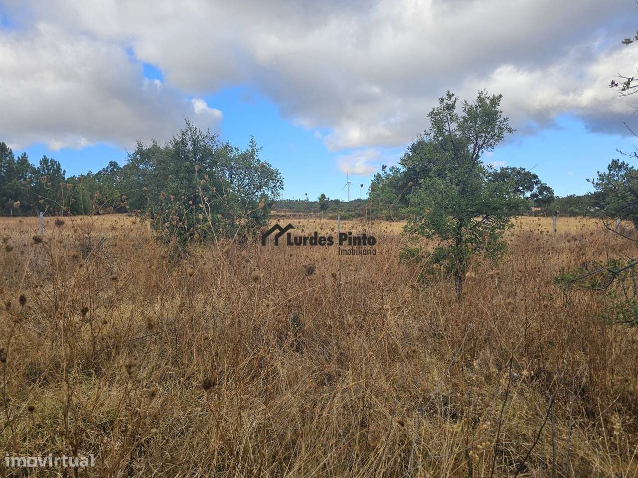 Quintinha com sobreiros-4