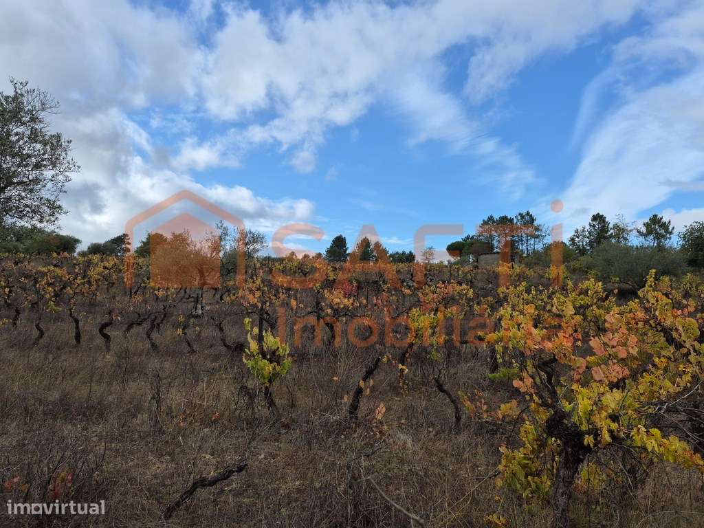 Terreno à venda em Prados - Pinhel-3