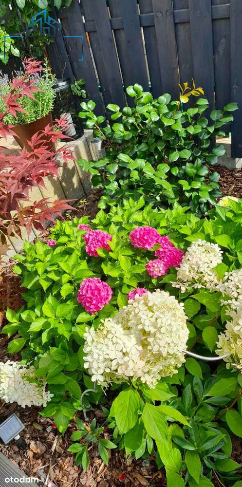 MIESZKANIE Z OGRODEM ORAZ PEŁNYM WYPOSAŻENIEM !!!-16