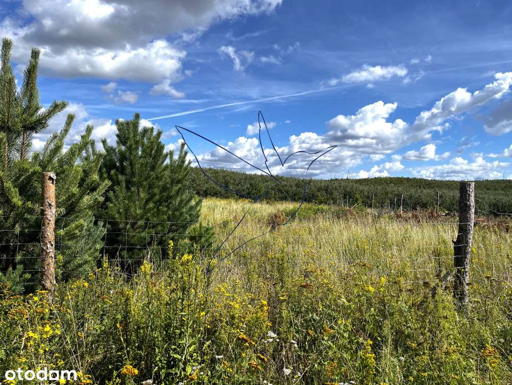 Działka budowlana w Śliwinach – 10 minut od Tczewa - Pełny obrazek: 4/10