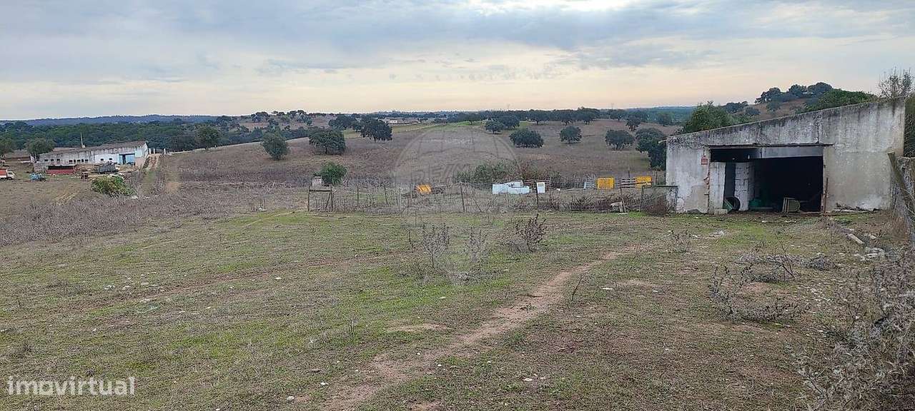 Terreno  para venda-31