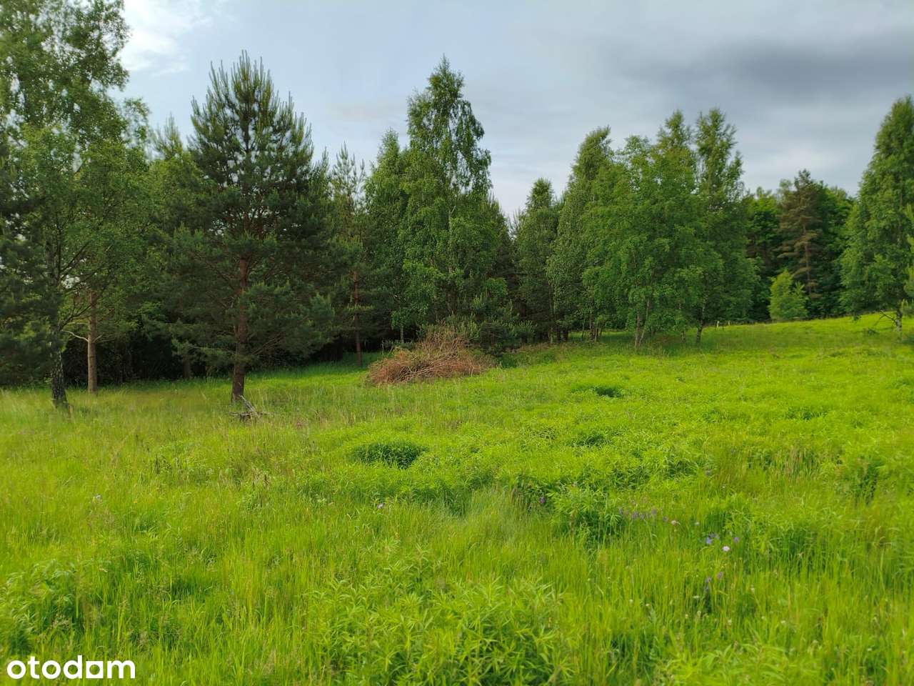 sprzedam działkę budowlana 15 arowa