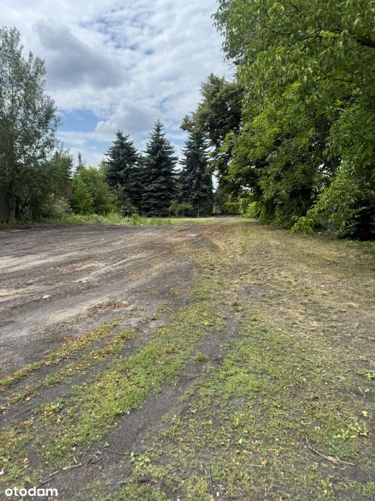 Działka  - 10 500 m2 -   Wszystkie media - Pełny obrazek: 5/8