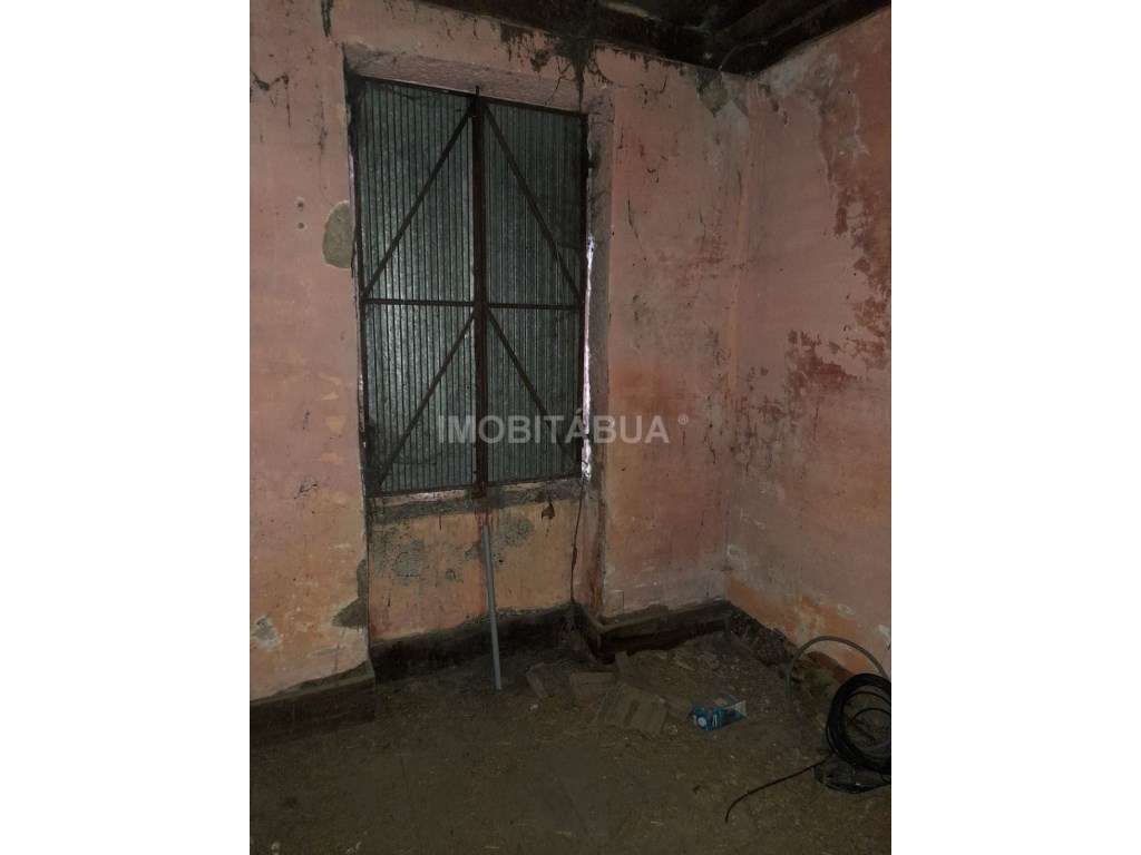 Quinta de Mirtilos com mais de 3 Hectares, localizada perto de Tondela-16