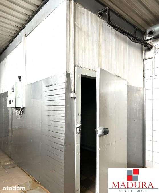 Hala 350m2-na sprzedaż - Pełny obrazek: 3/9