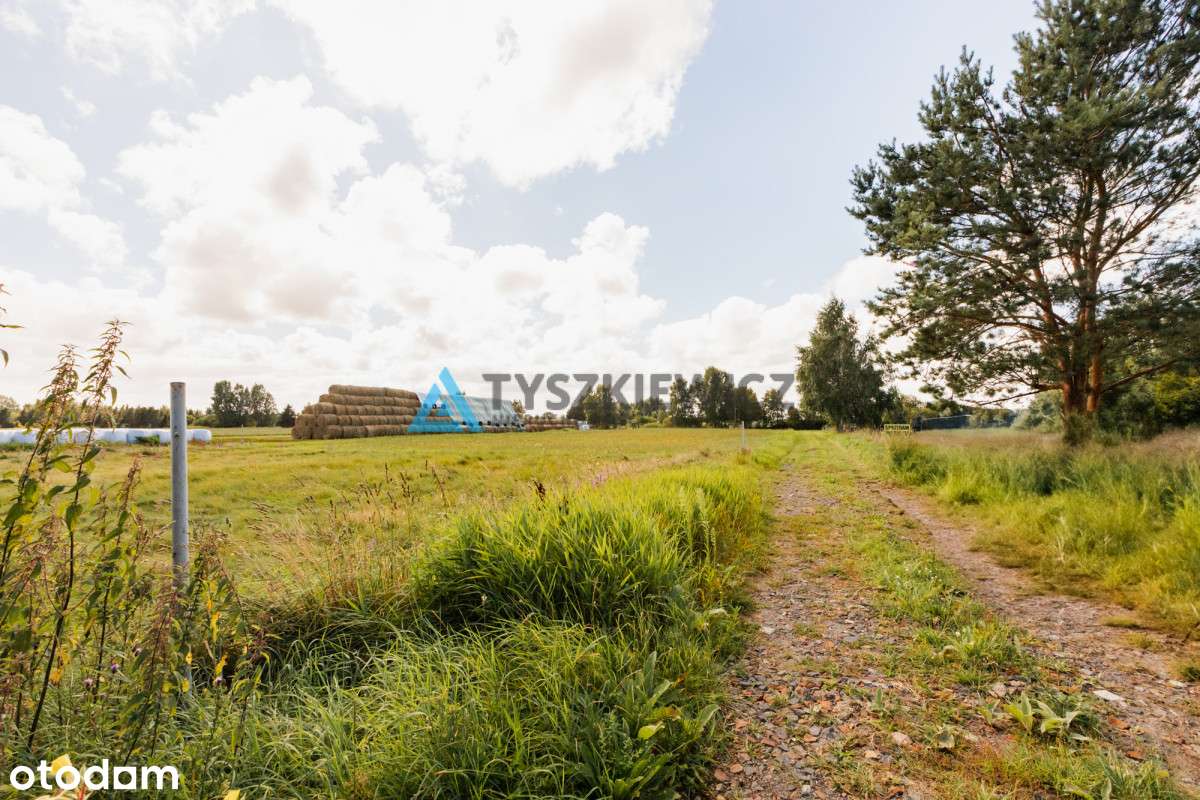 Działka rolna Karwieńskie Błota - Pełny obrazek: 4/7