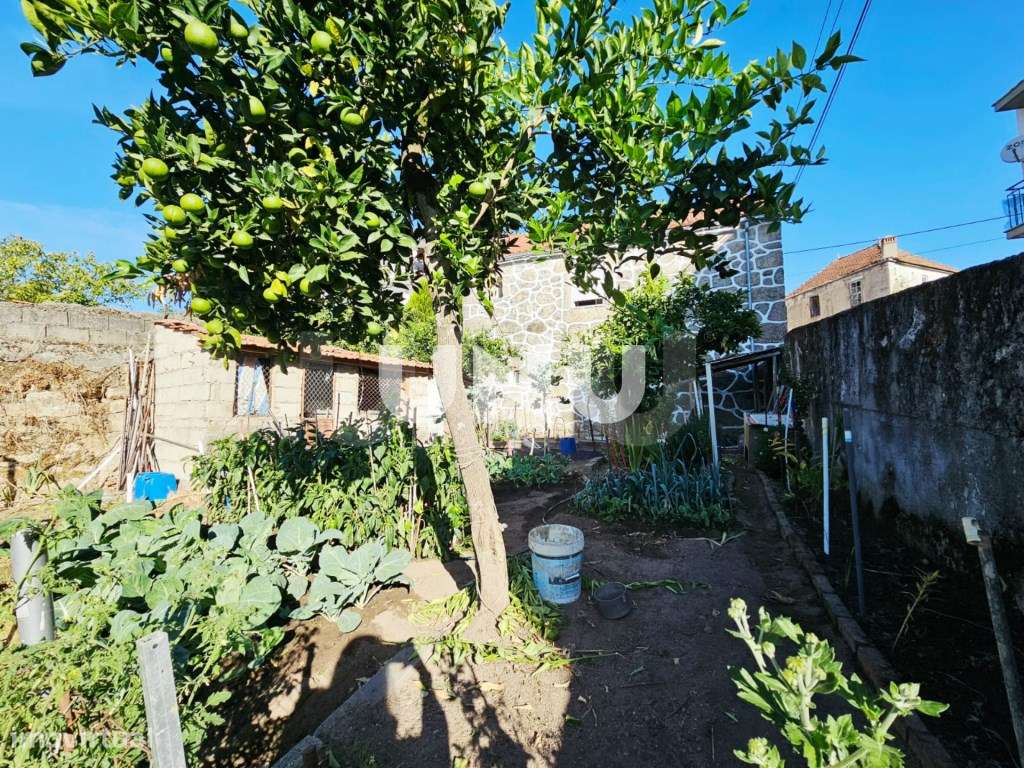 Moradia Isolada T2 - Para Investimento-17