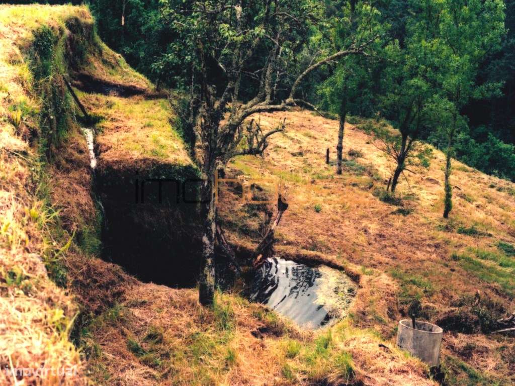 Quinta isolada - Amarante-40