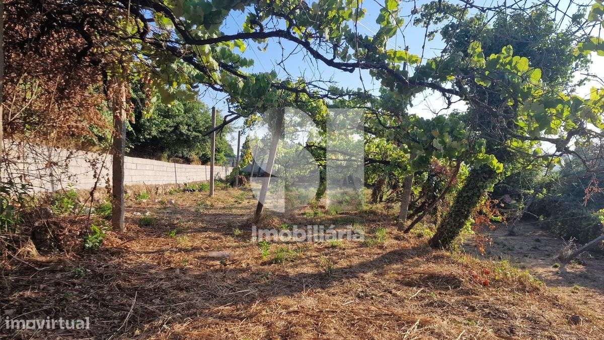 Terreno - potencial de investimento - Astromil - Paredes-20